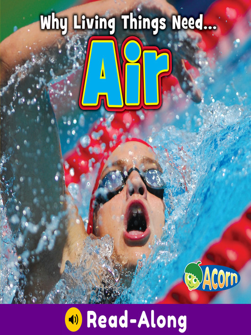 Cover image for Air